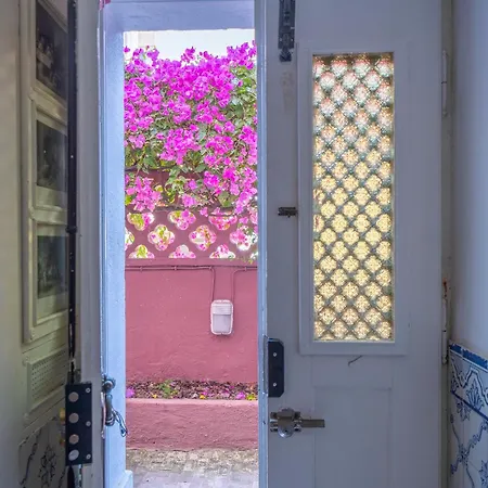 بيت شباب Olivenca *