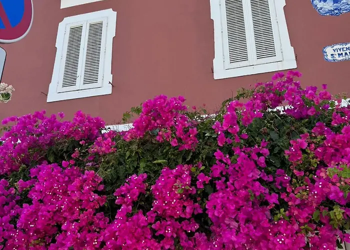 Olivenca Costa da Caparica